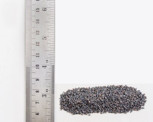Gray coarse ballast - gray, woodland